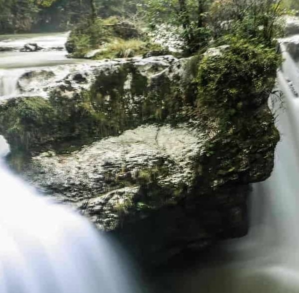 קניון מרטווילי - שיט בסירה בתוך קניון עם מים בצבע טורקיז וצמחייה עשירה