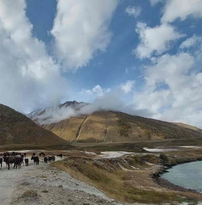 guided hiking tours in the caucasus mountains - book with zuratour Group of tourists hiking with professional guide in the snowy Caucasus mouintains of Georgia, Kazbegi region . a signature mountain trekking experience provided by zuratour.com